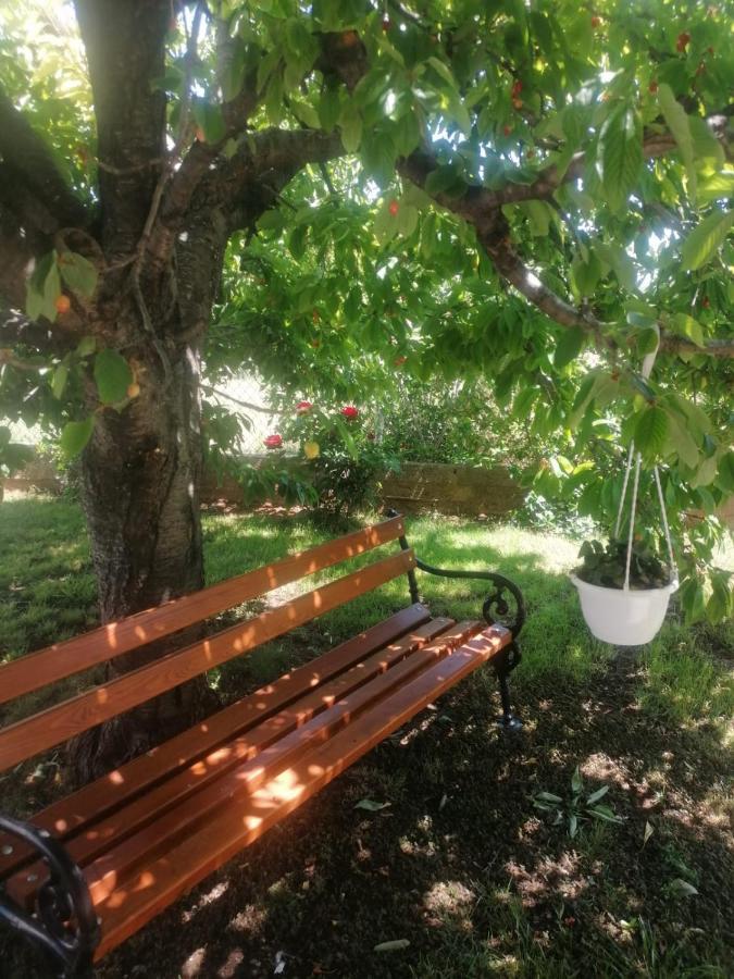Apartment Ferara بيتينا المظهر الخارجي الصورة
